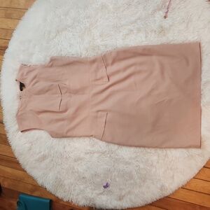 Sandra Augelazzi nude coloured sheath dress